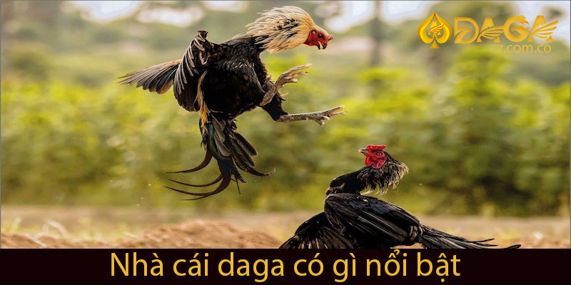 Những nổi bật của nhà cái DAGA