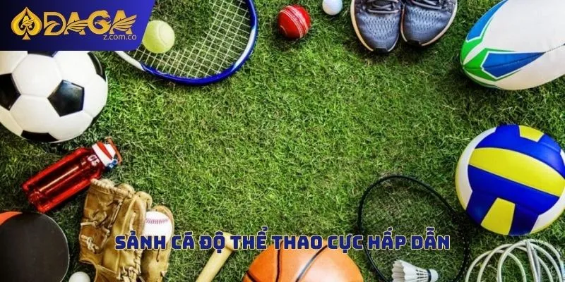 Cá cược thể thao hấp dẫn nhất tại nhà cái